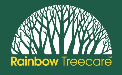 rainbow tree care minneapolis