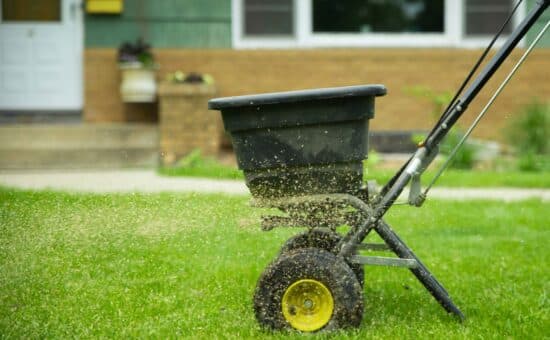 Lawn Seeding Solutions