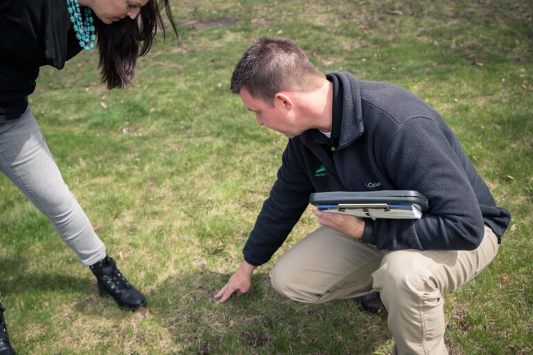 Consultation with lawn expert in Minnesota lawn during spring